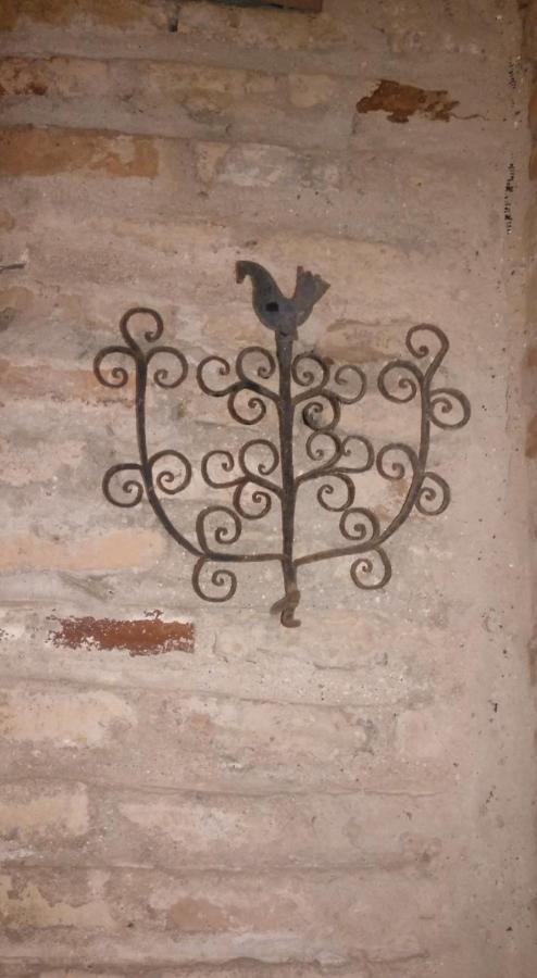 Albucasis